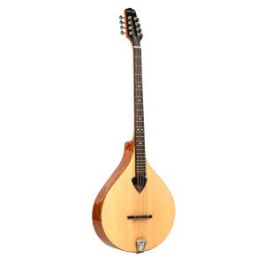 Gold Tone Bz-500